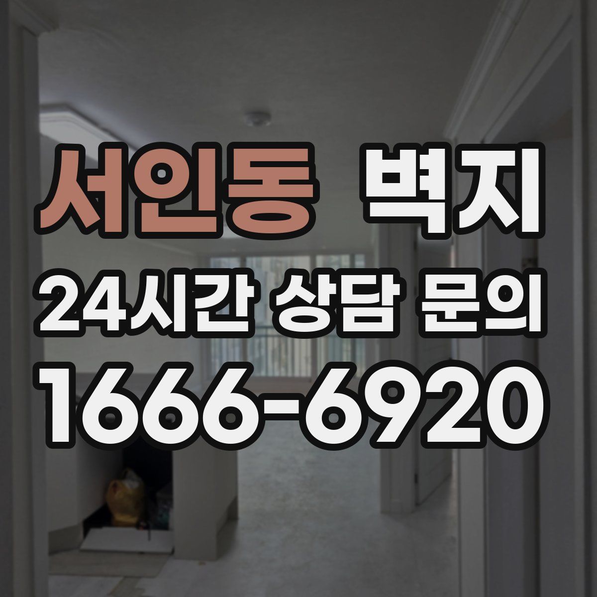 서인동 벽지