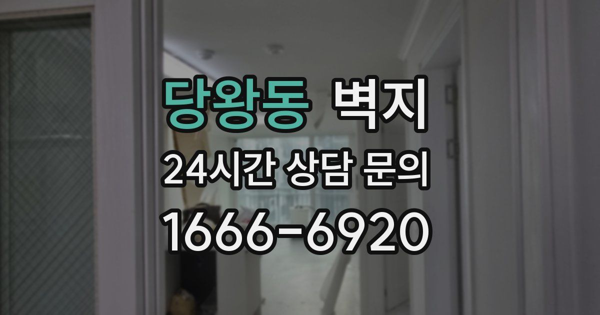 당왕동 벽지