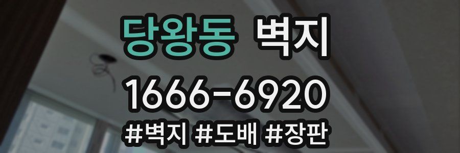 당왕동 벽지