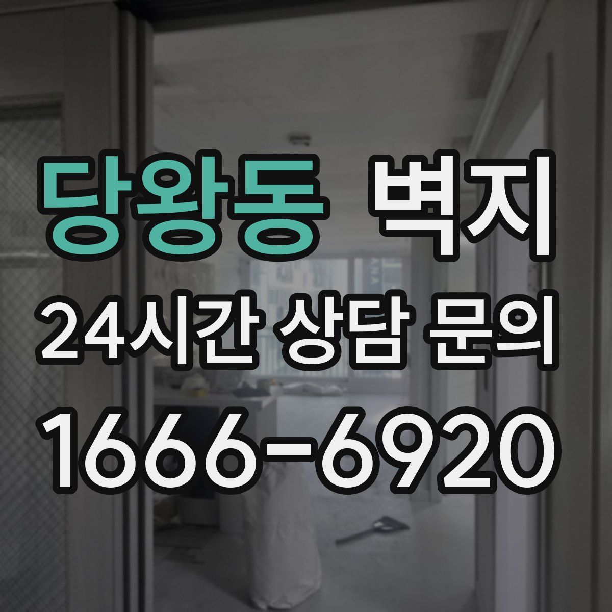 당왕동 벽지