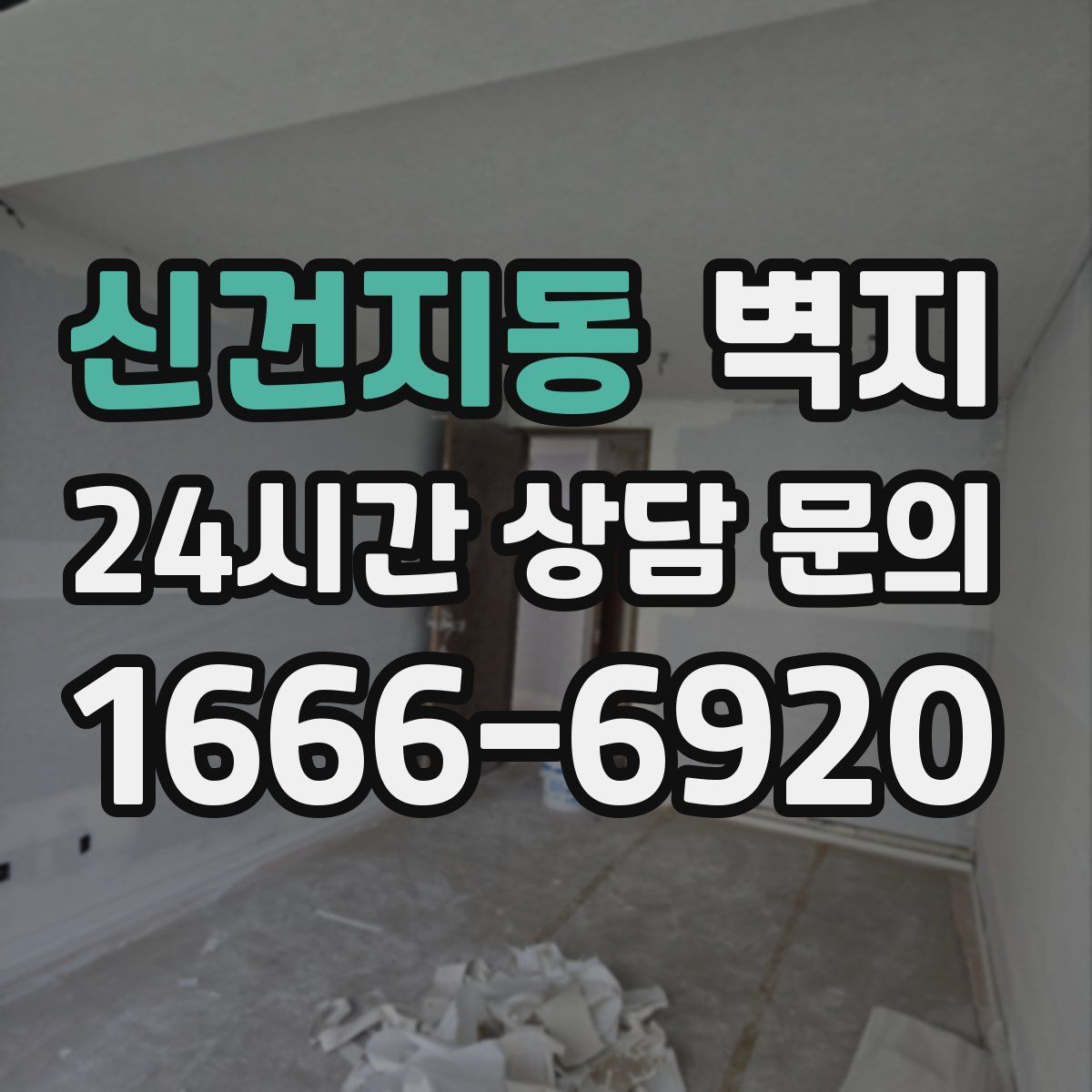 신건지동 벽지