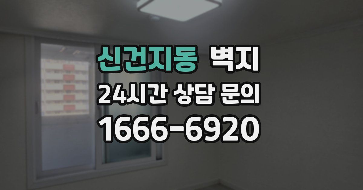 신건지동 벽지