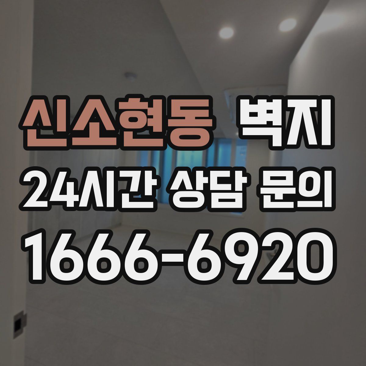 신소현동 벽지
