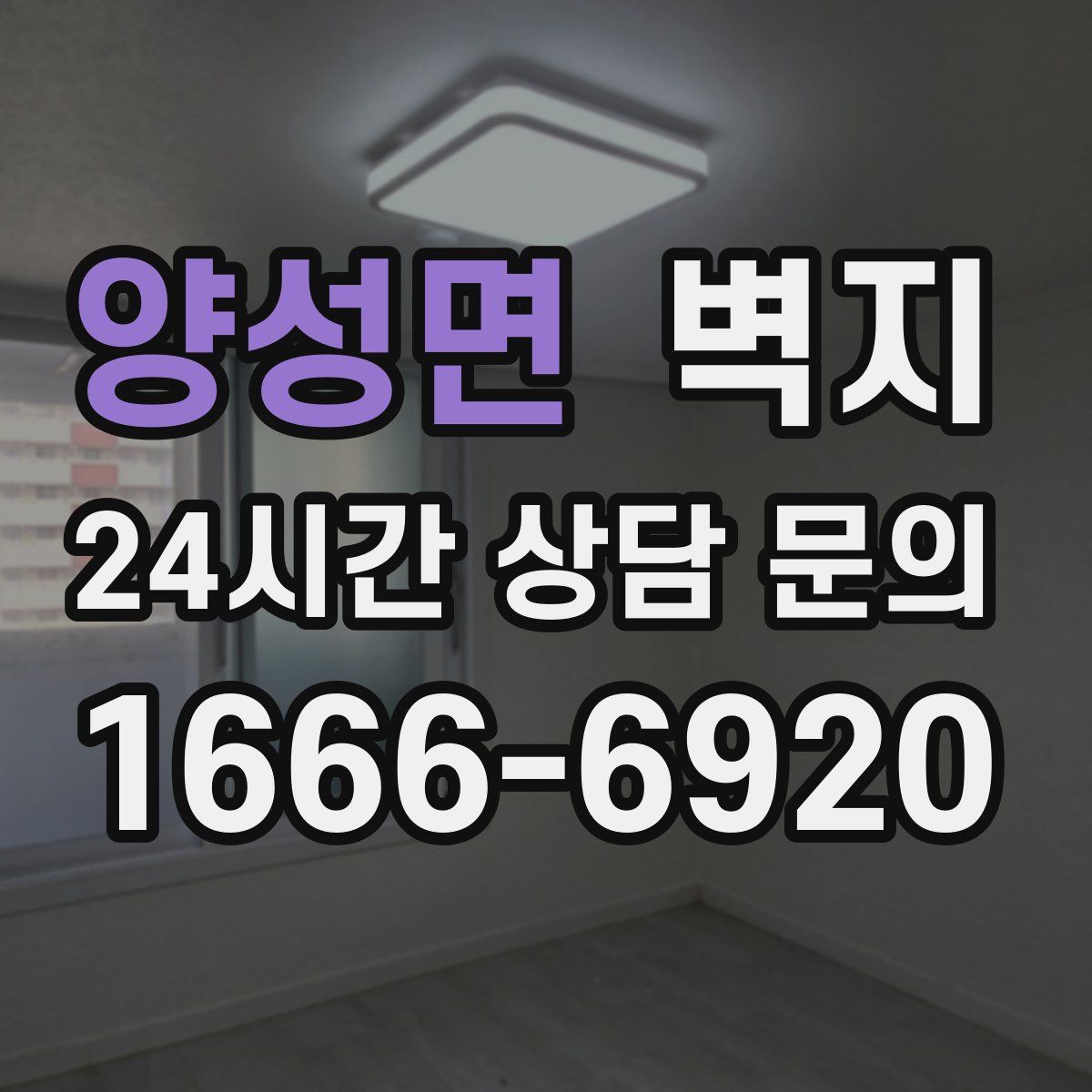 양성면 벽지