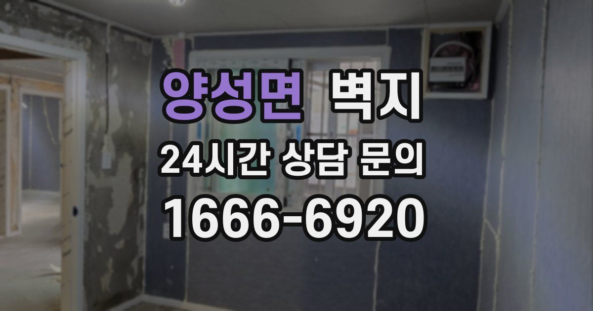 양성면 벽지