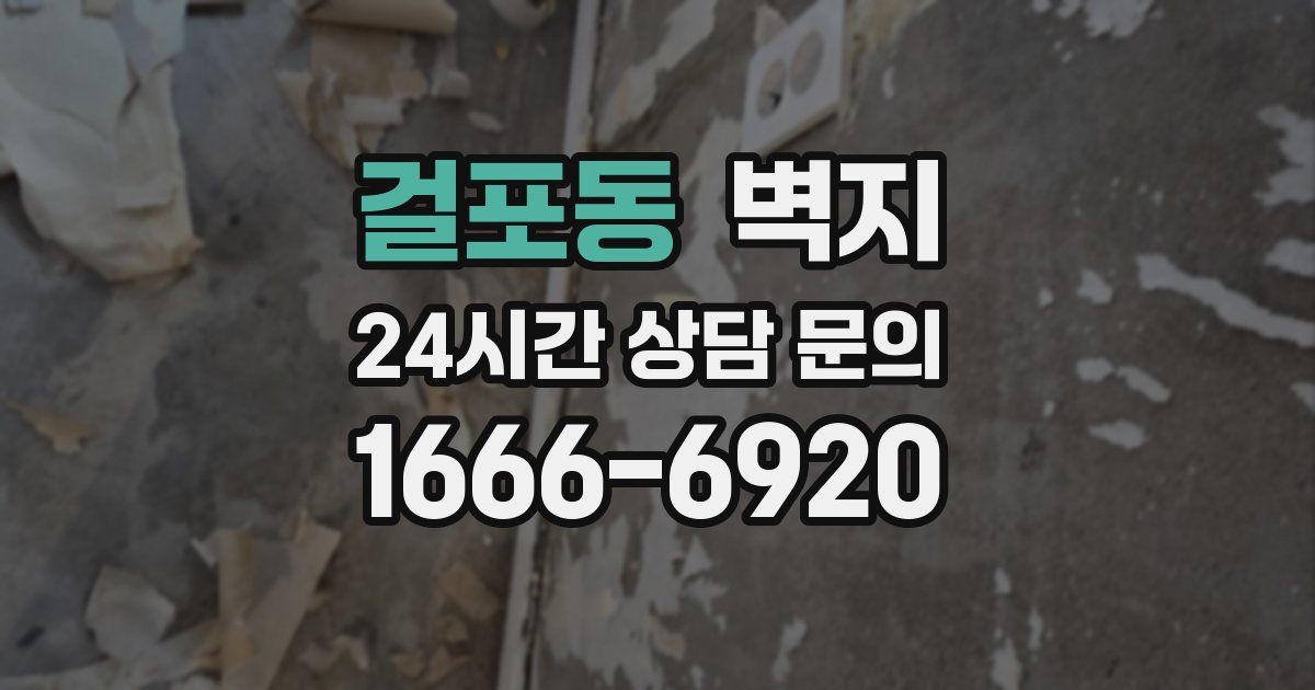 걸포동 벽지