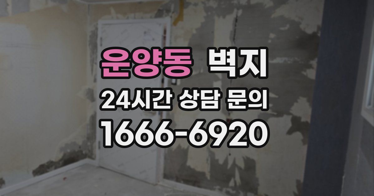 운양동 벽지