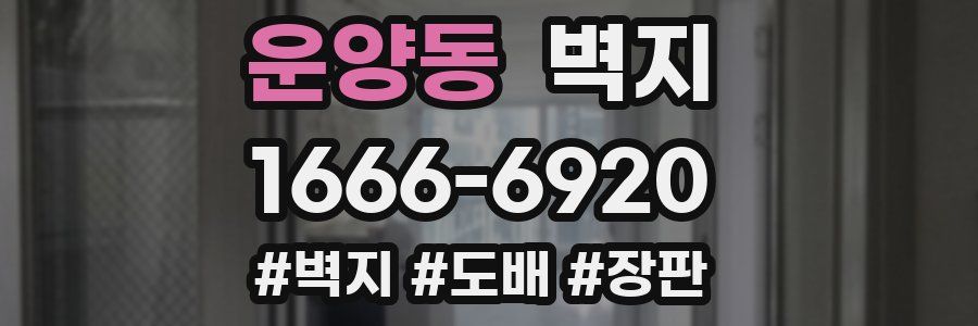 운양동 벽지