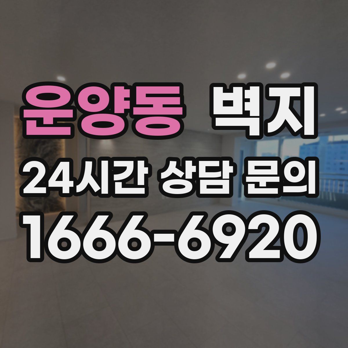 운양동 벽지