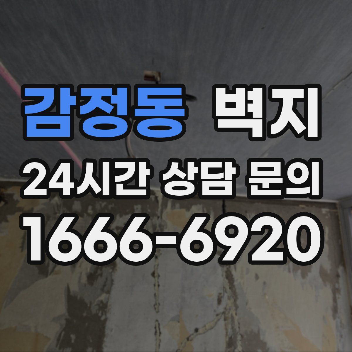 감정동 벽지