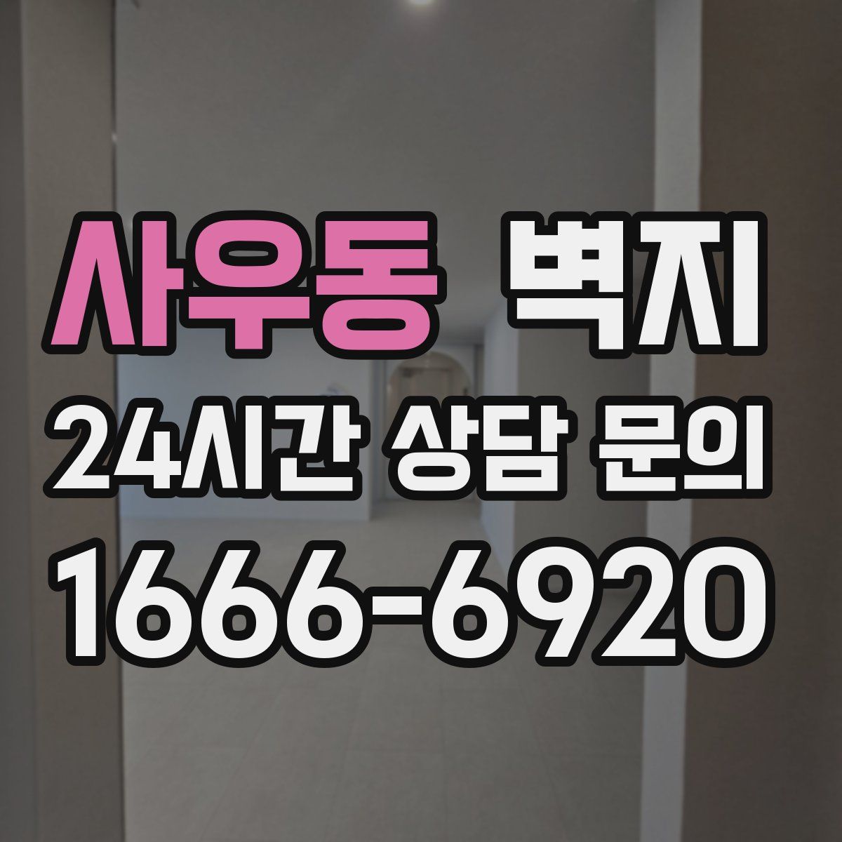 사우동 벽지