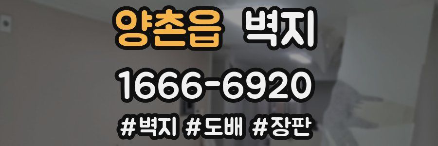 양촌읍 벽지