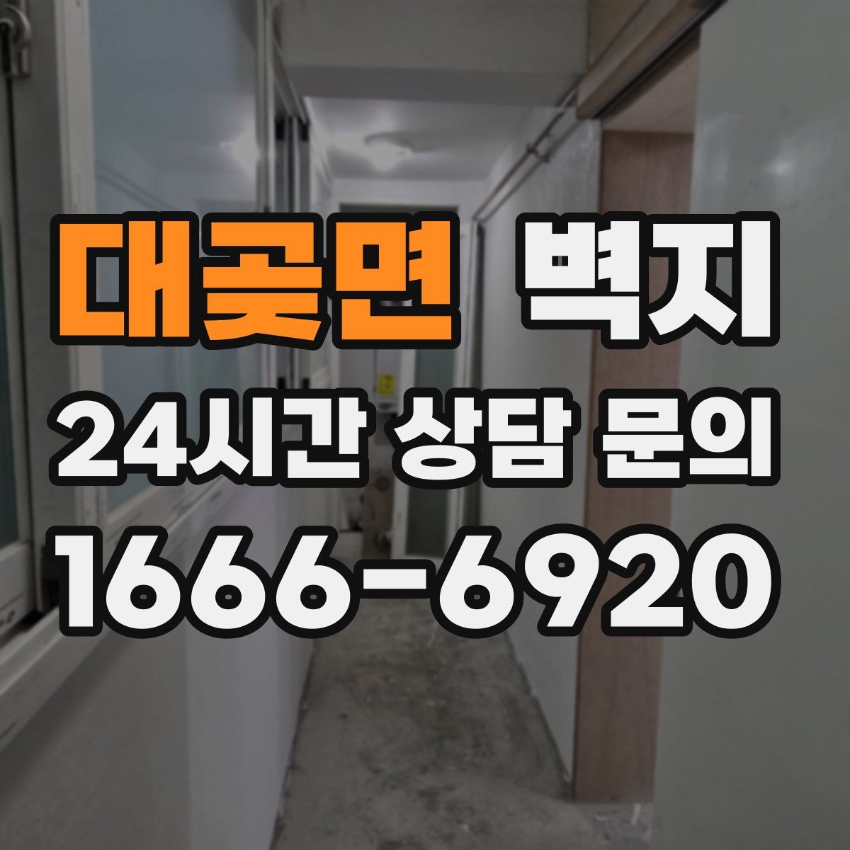 대곶면 벽지
