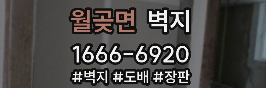 월곶면 벽지