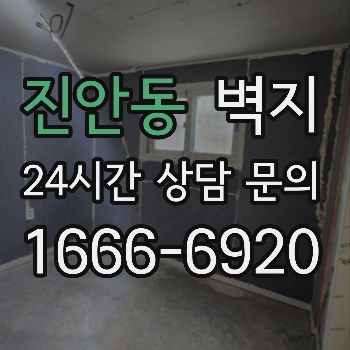 진안동 벽지