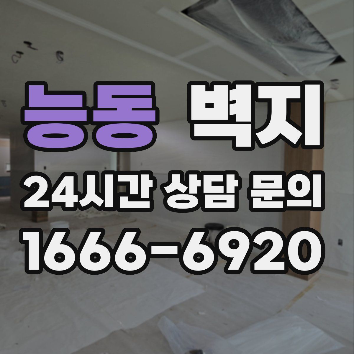 능동 벽지
