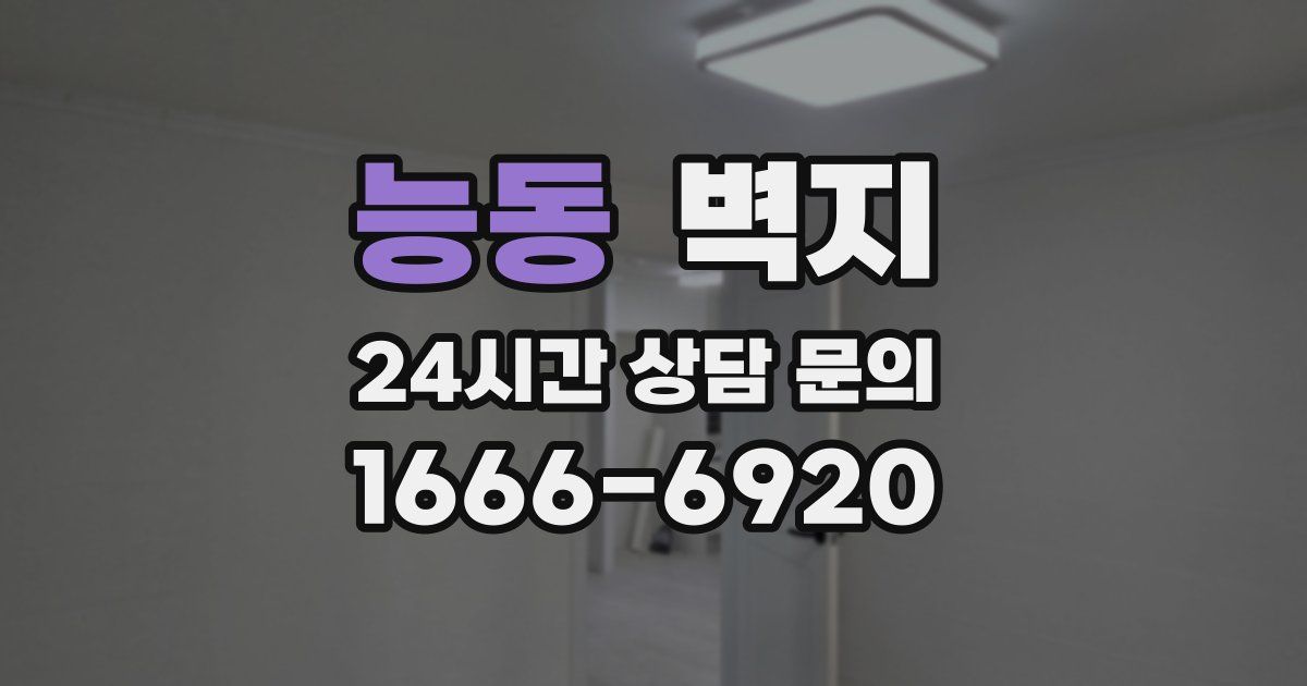 능동 벽지