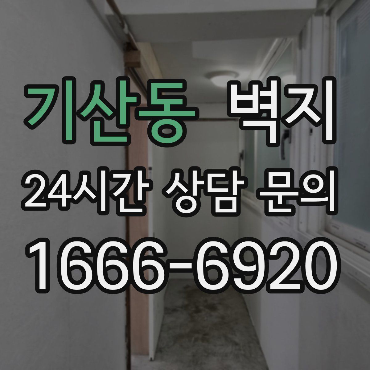 기산동 벽지