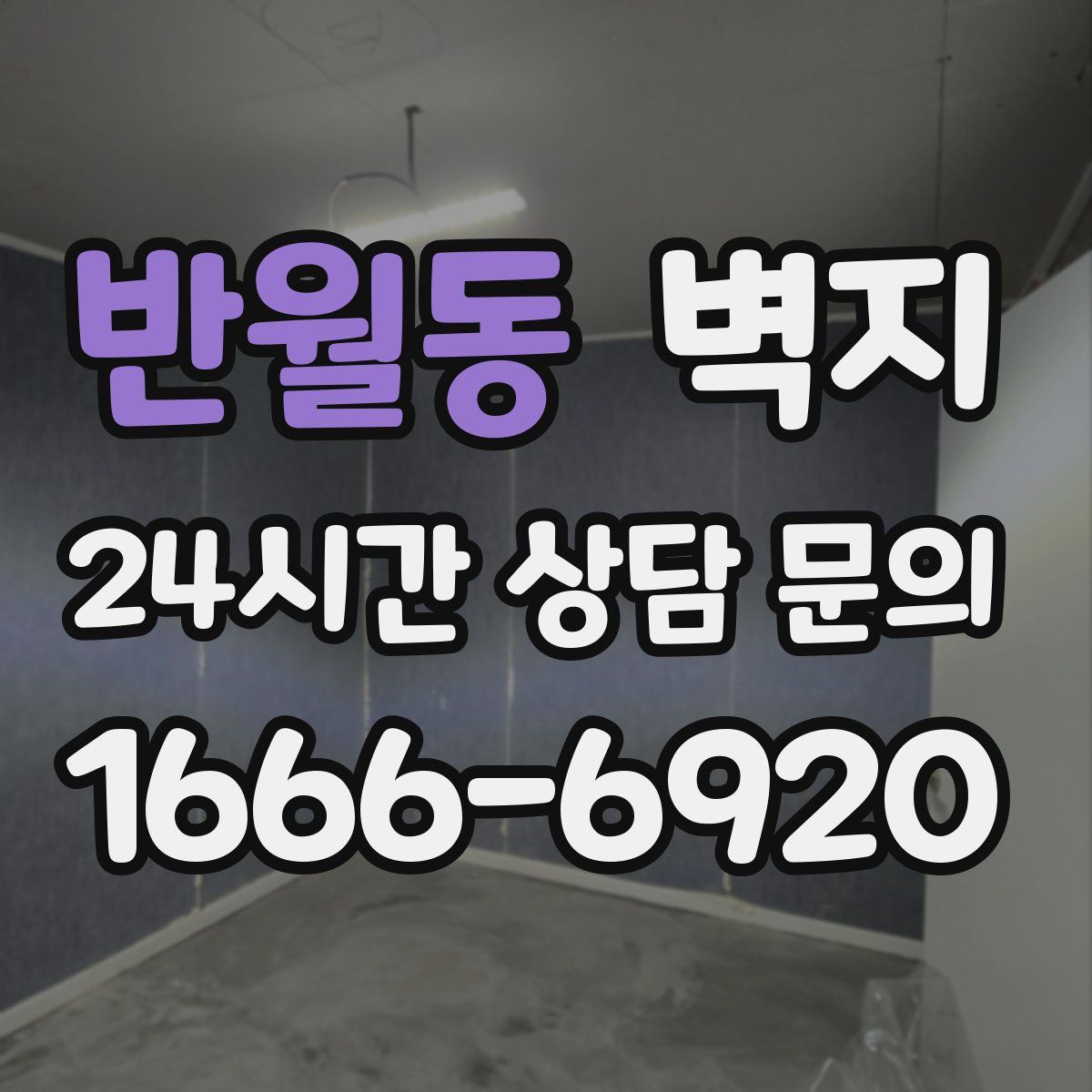 반월동 벽지