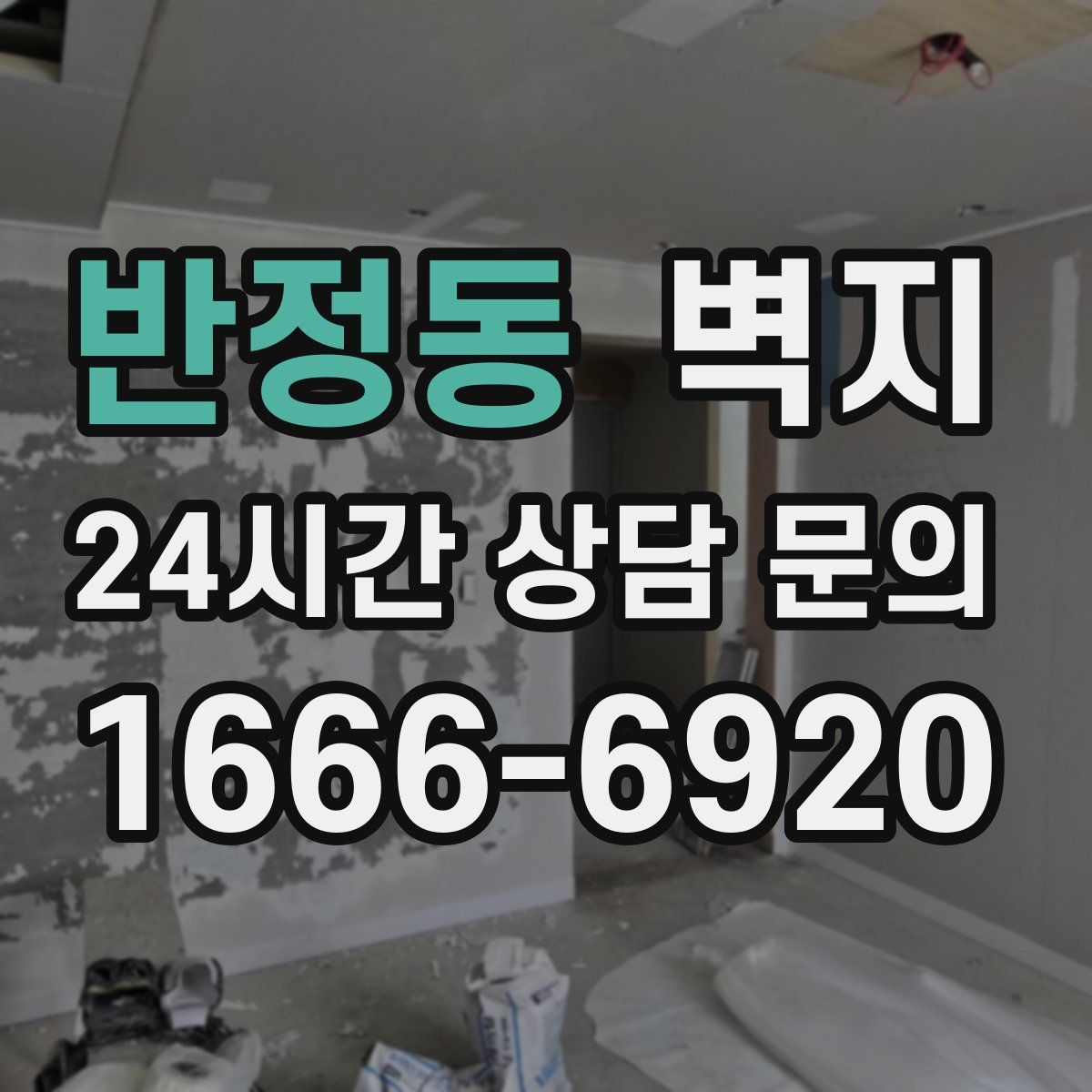 반정동 벽지