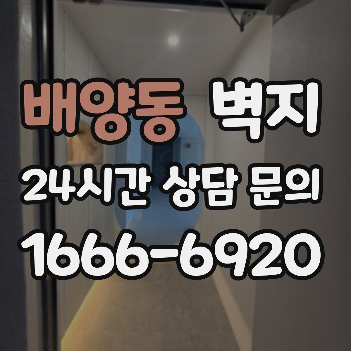 배양동 벽지