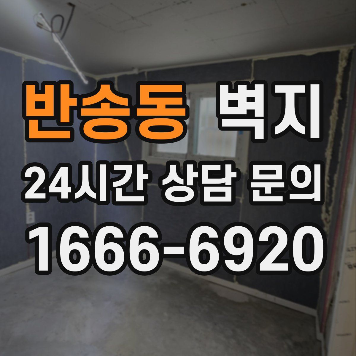 반송동 벽지