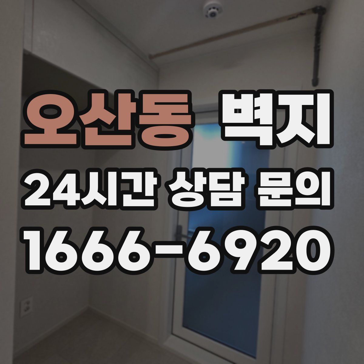 오산동 벽지