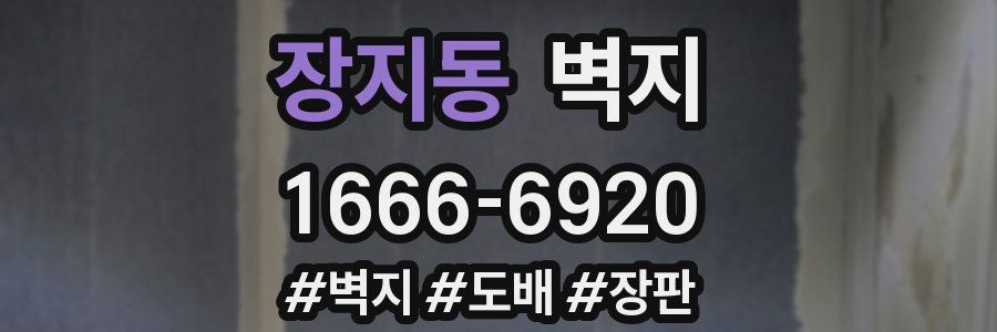 장지동 벽지