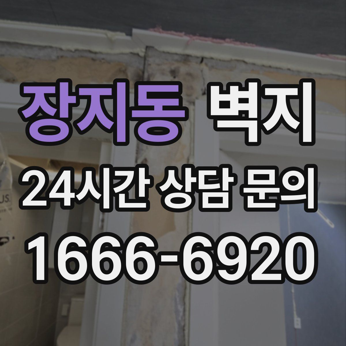 장지동 벽지