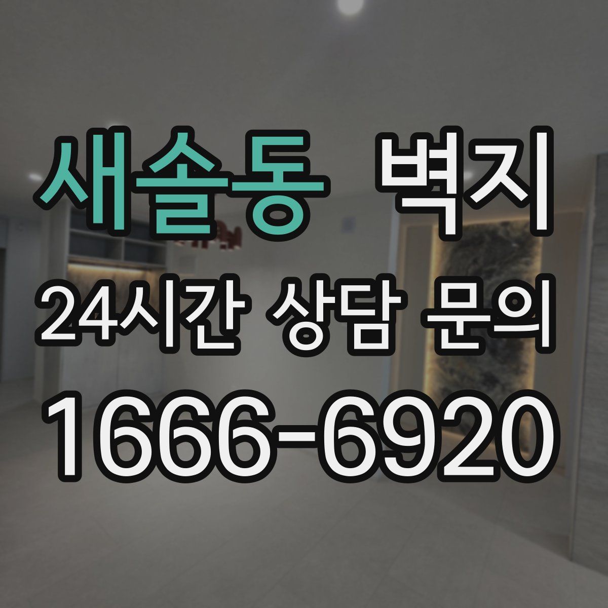 새솔동 벽지