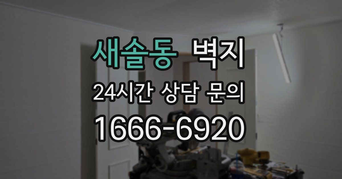 새솔동 벽지