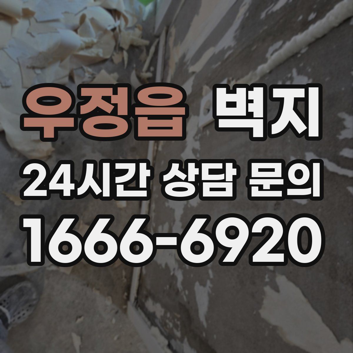 우정읍 벽지