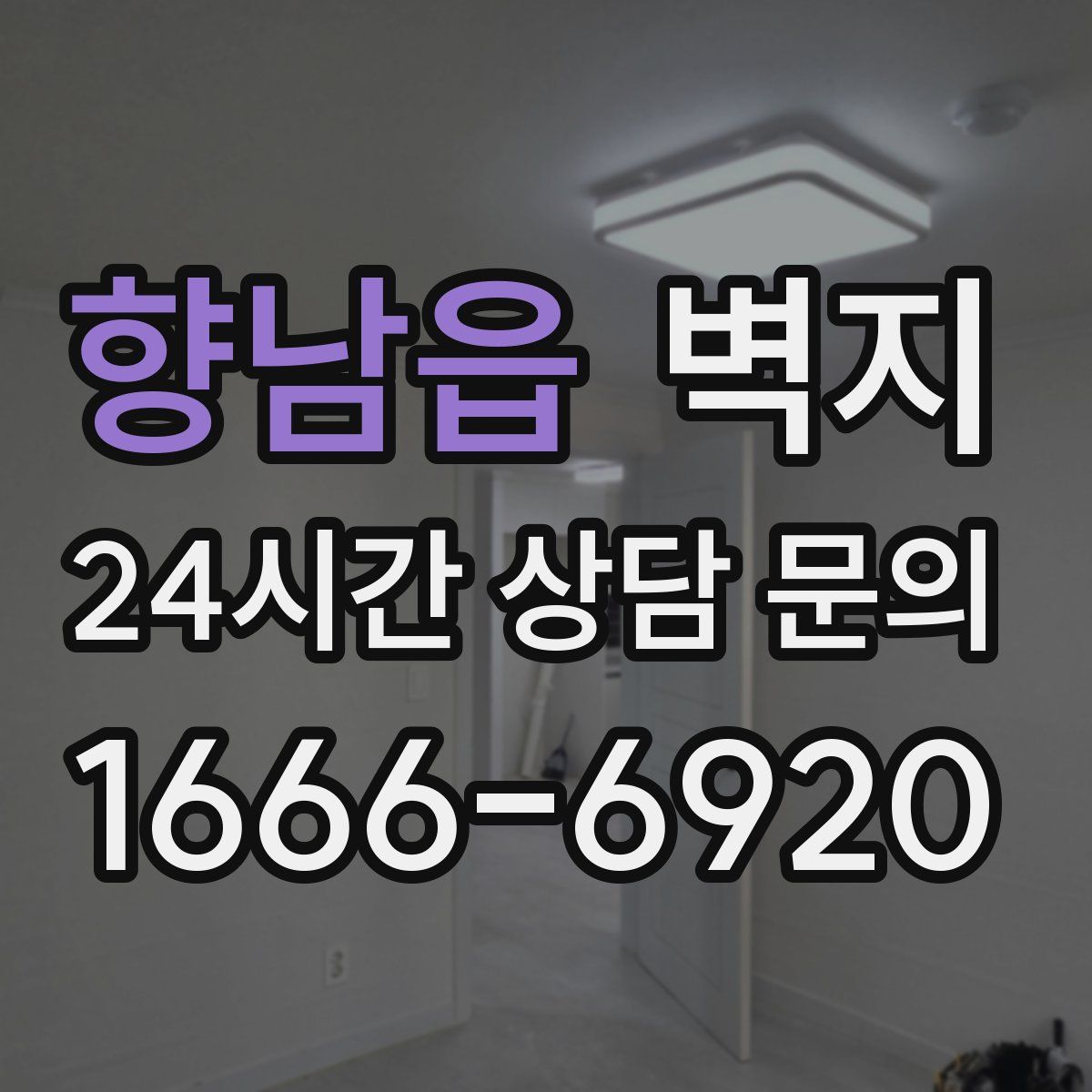 향남읍 벽지