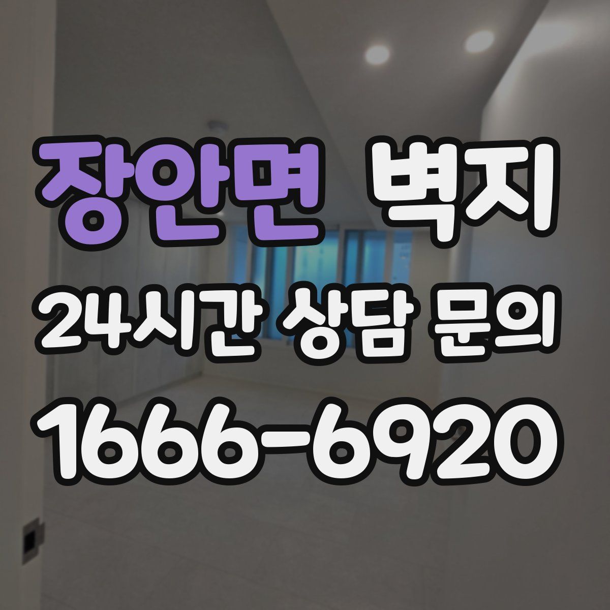 장안면 벽지