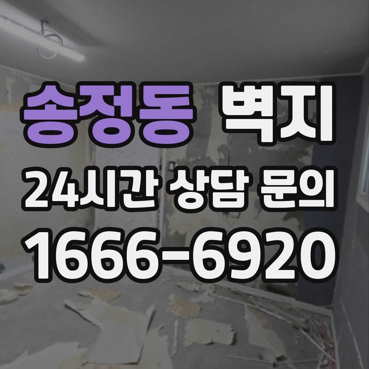 송정동 벽지