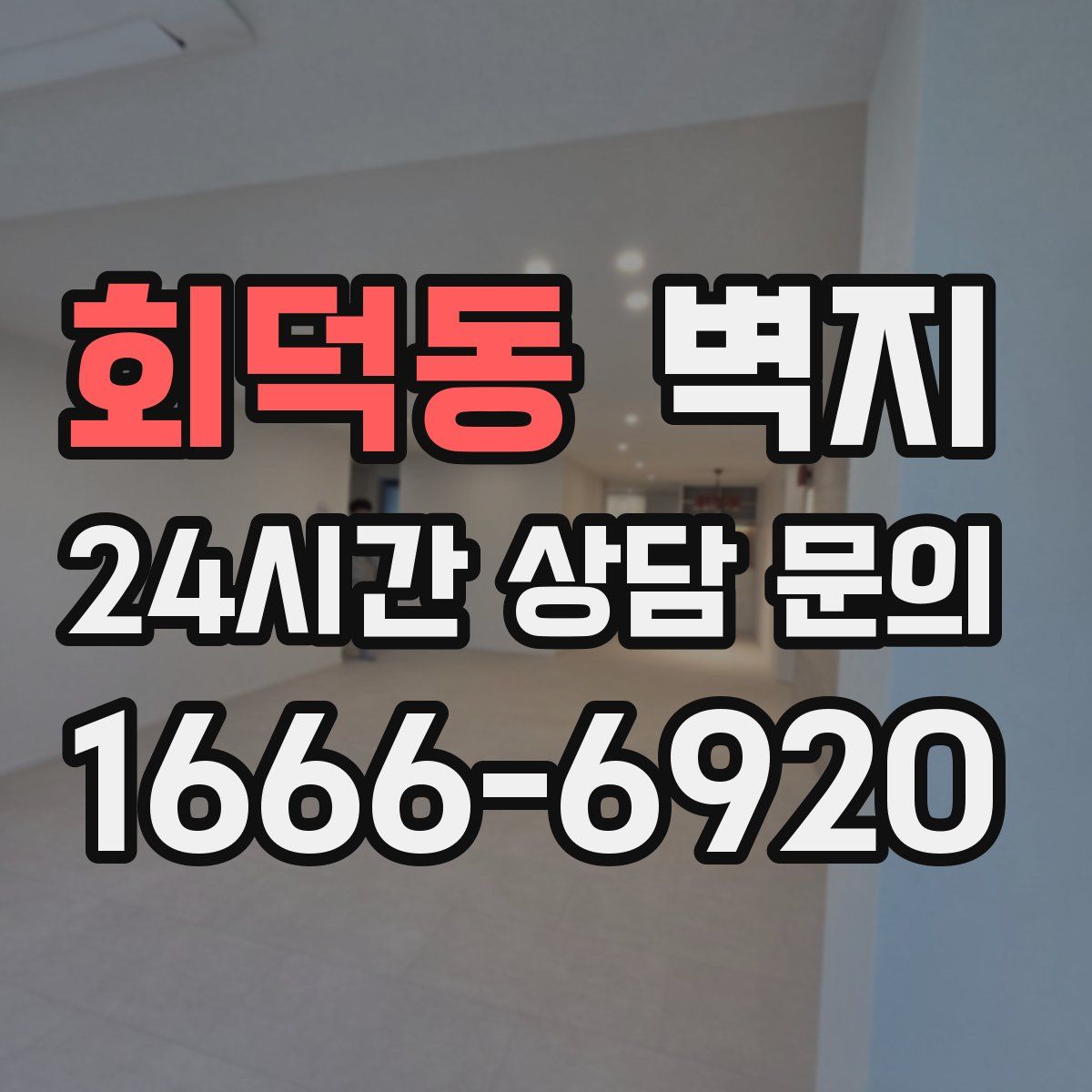 회덕동 벽지