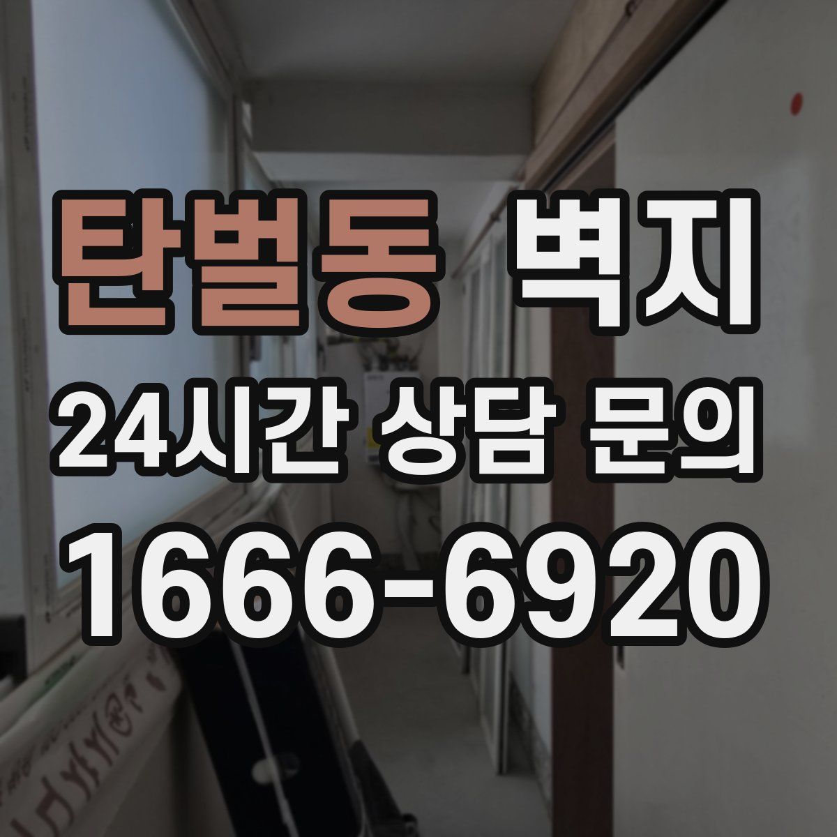 탄벌동 벽지