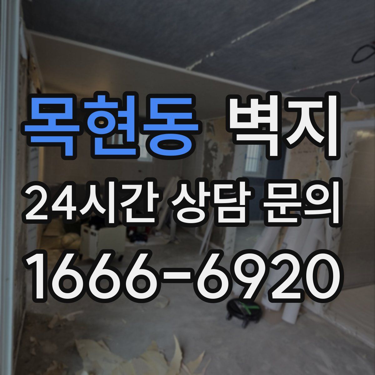 목현동 벽지