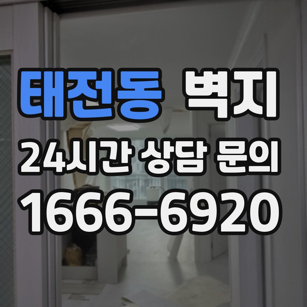 태전동 벽지