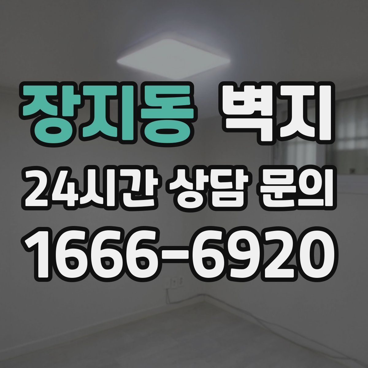 장지동 벽지