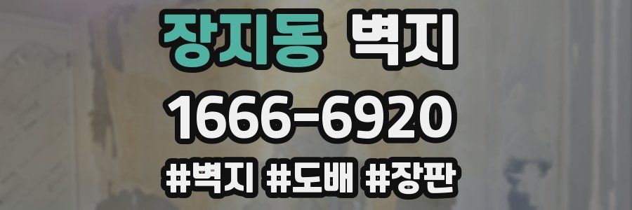장지동 벽지