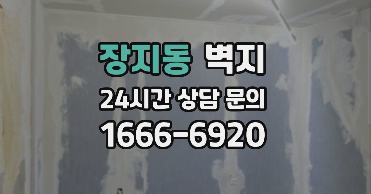 장지동 벽지