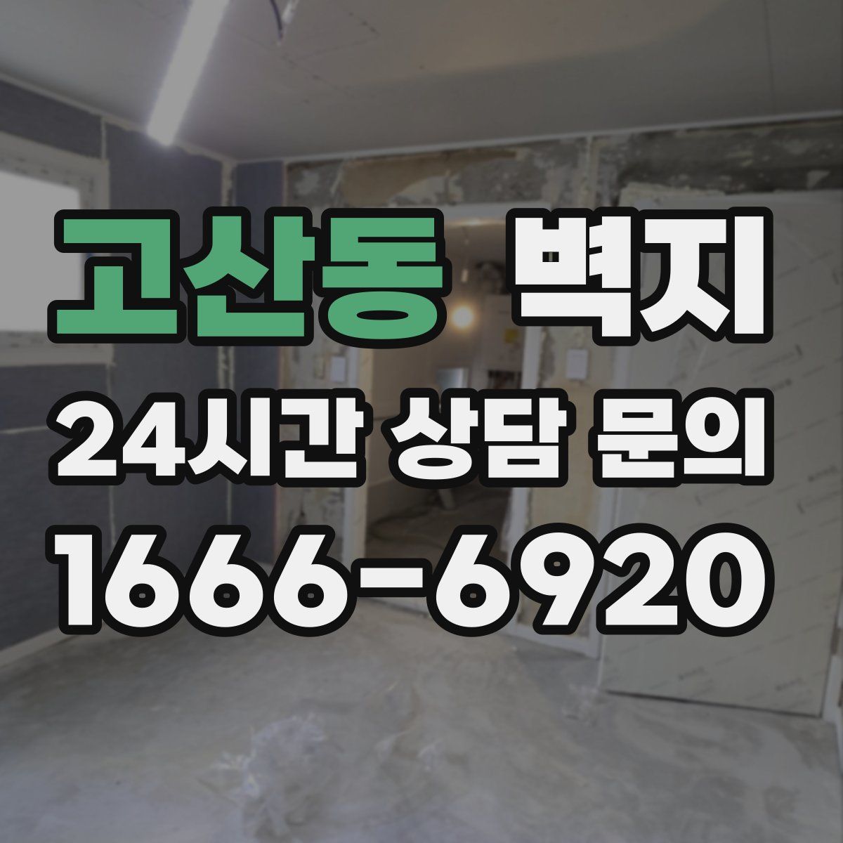 고산동 벽지