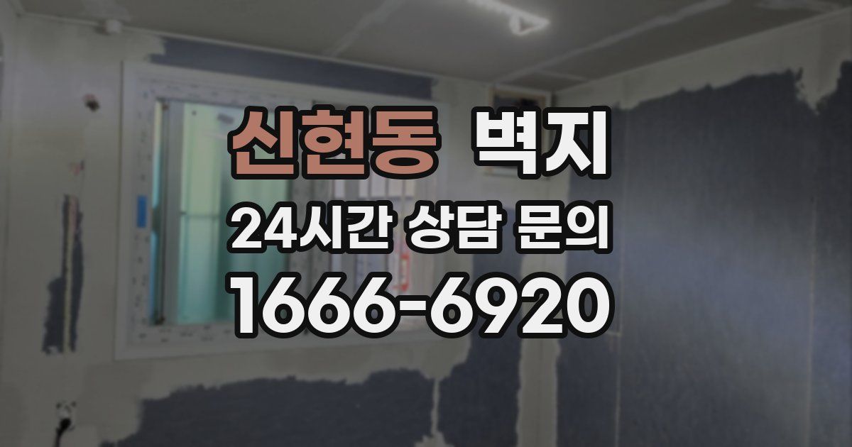 신현동 벽지