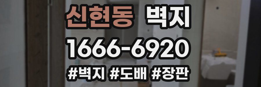 신현동 벽지