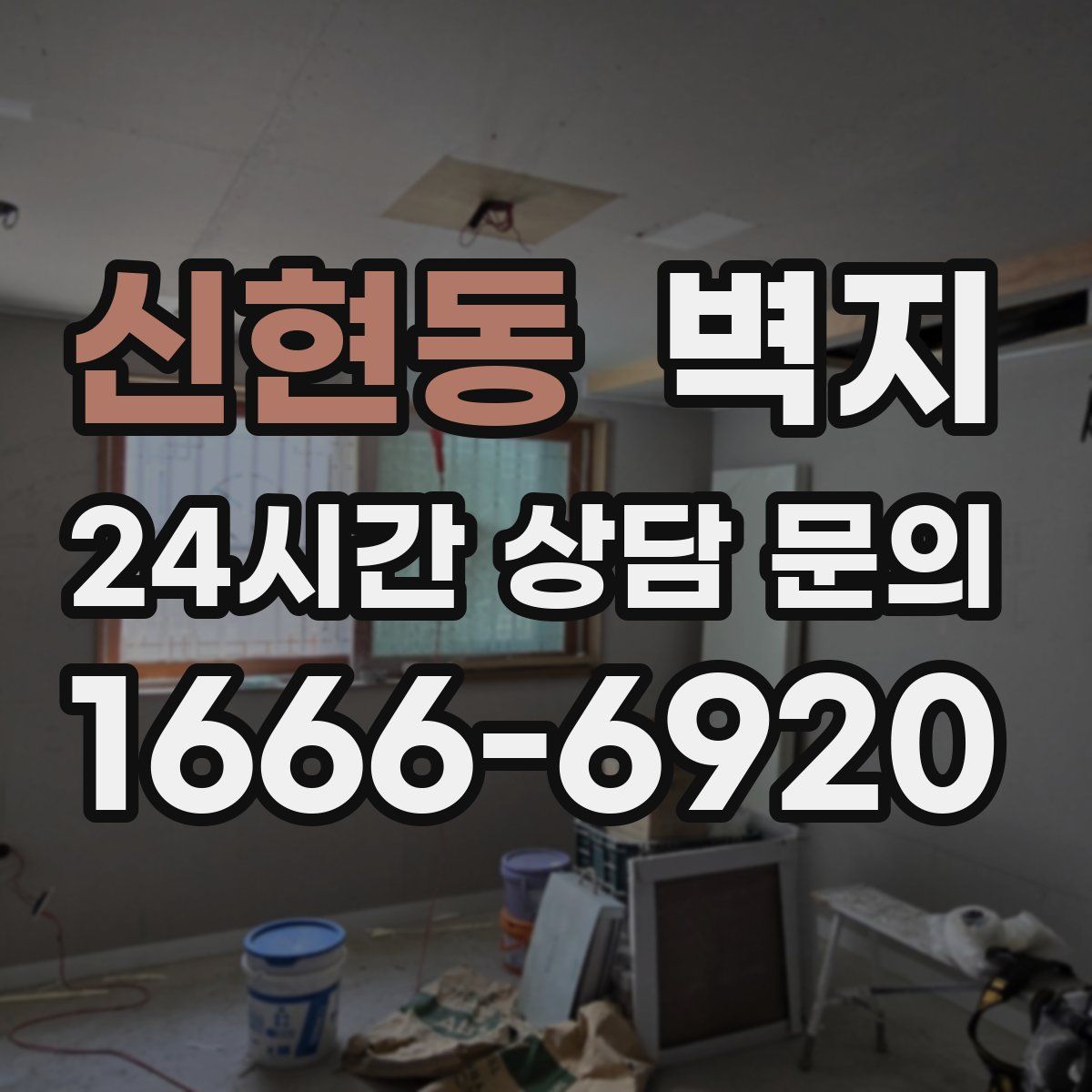 신현동 벽지