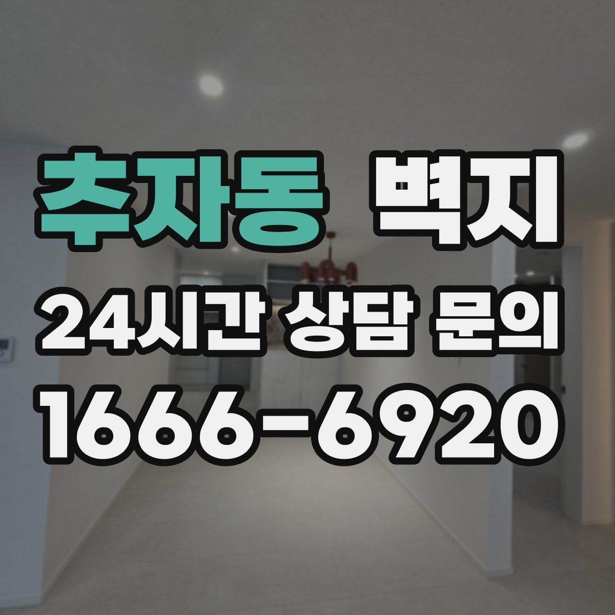 추자동 벽지