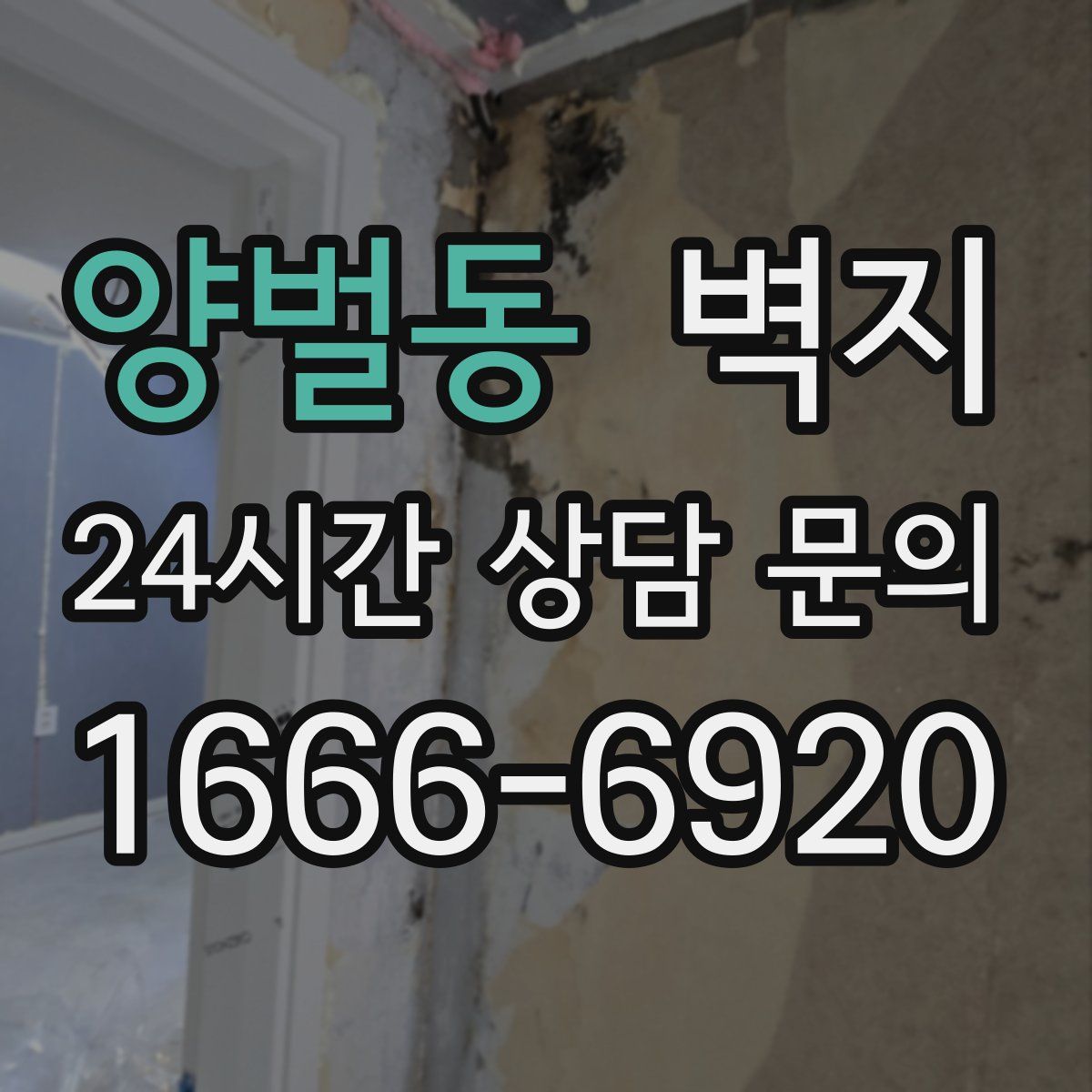 양벌동 벽지