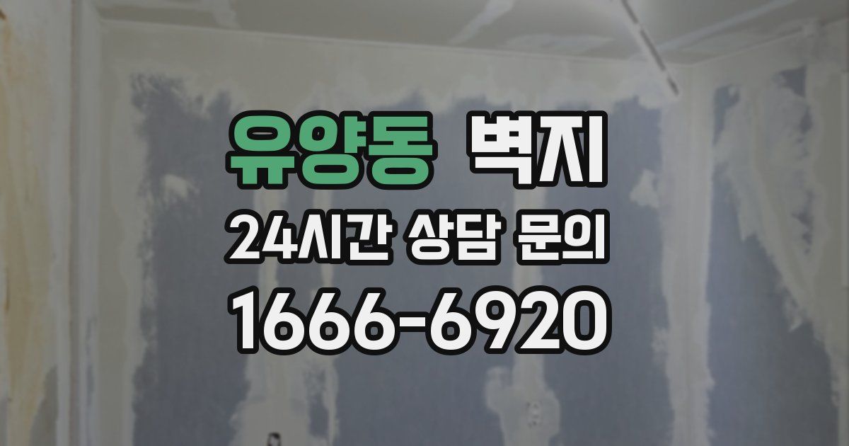 유양동 벽지