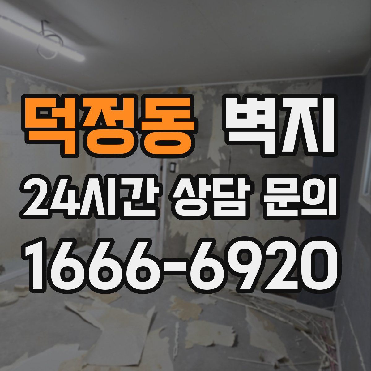 덕정동 벽지